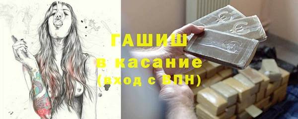 сатива Бородино