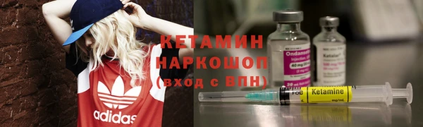 сатива Бородино