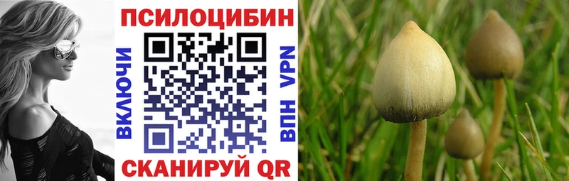 наркотики  Козловка  Галлюциногенные грибы прущие грибы 